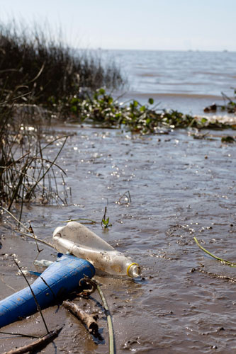polluted water